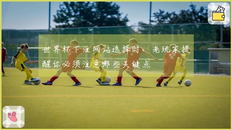 世界杯下注网站选择时，老玩家提醒你必须注意哪些关键点