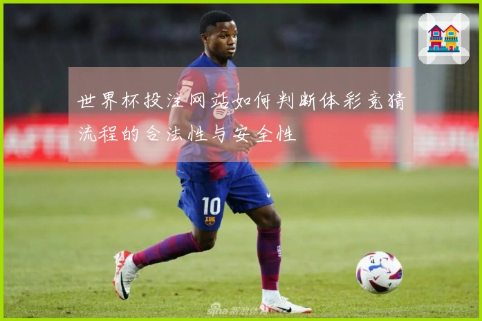 世界杯投注网站如何判断体彩竞猜流程的合法性与安全性