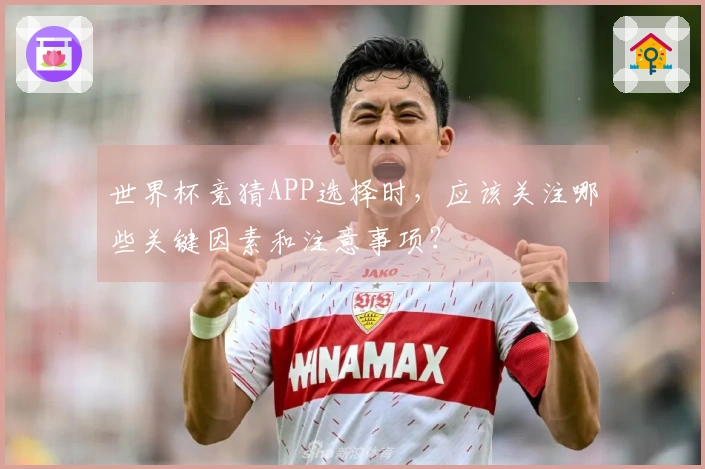 世界杯竞猜APP选择时，应该关注哪些关键因素和注意事项？