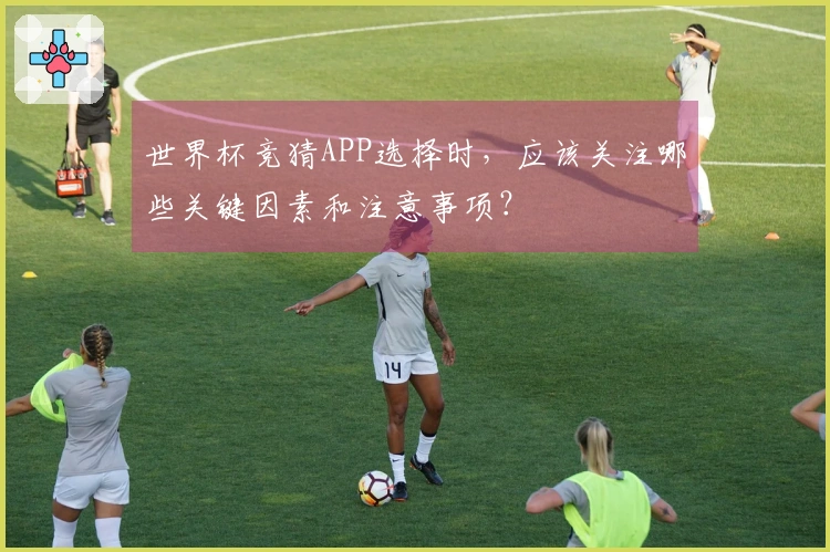 世界杯竞猜APP选择时，应该关注哪些关键因素和注意事项？