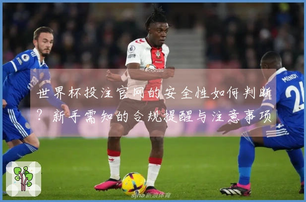 世界杯投注官网的安全性如何判断？新手需知的合规提醒与注意事项
