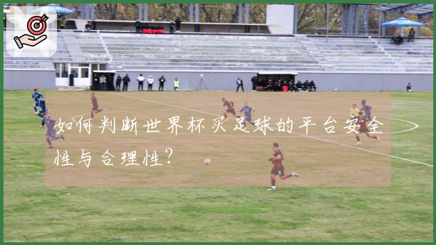 如何判断世界杯买足球的平台安全性与合理性？