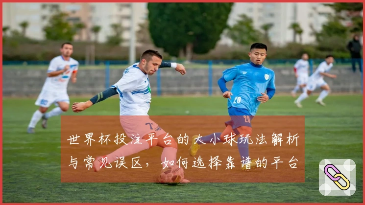世界杯投注平台的大小球玩法解析与常见误区，如何选择靠谱的平台？