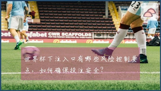 世界杯下注入口有哪些风险控制要点，如何确保投注安全？