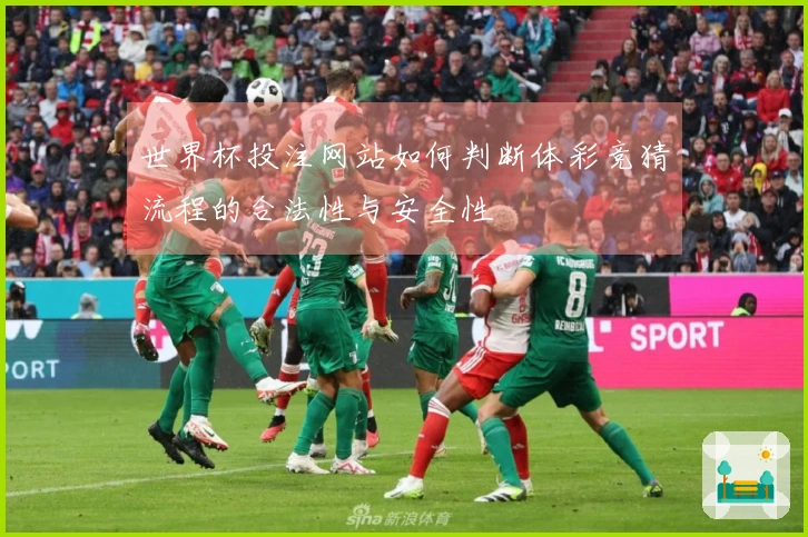 世界杯投注网站如何判断体彩竞猜流程的合法性与安全性