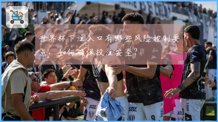 世界杯下注入口有哪些风险控制要点，如何确保投注安全？