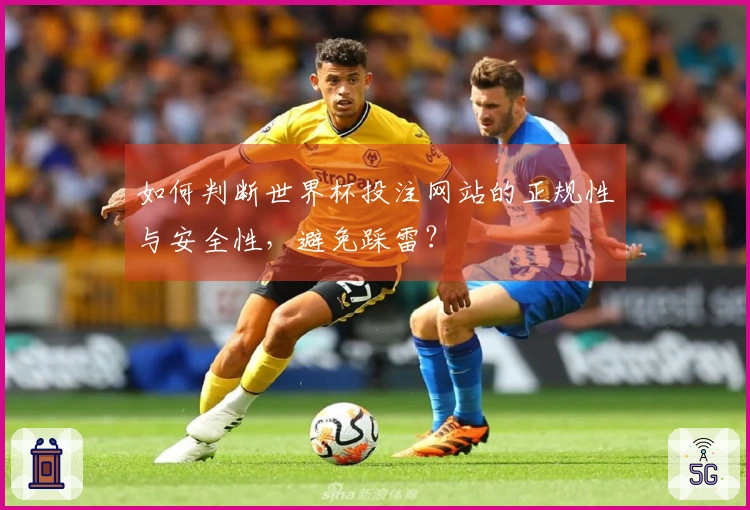 如何判断世界杯投注网站的正规性与安全性，避免踩雷？