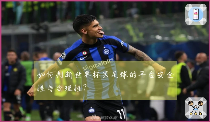 如何判断世界杯买足球的平台安全性与合理性？